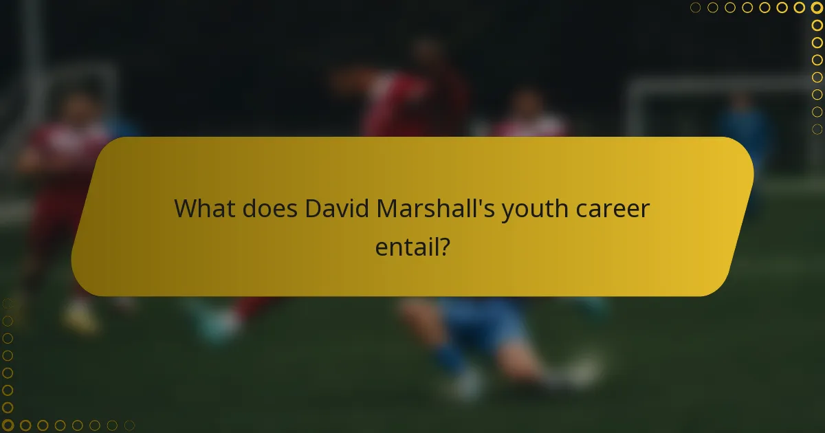 What does David Marshall's youth career entail?